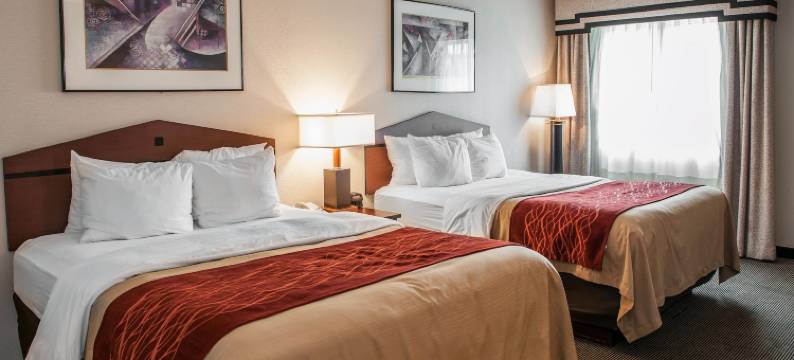 印第安纳波利斯南I-65舒适酒店(Comfort Inn Indianapolis South I-65)图片