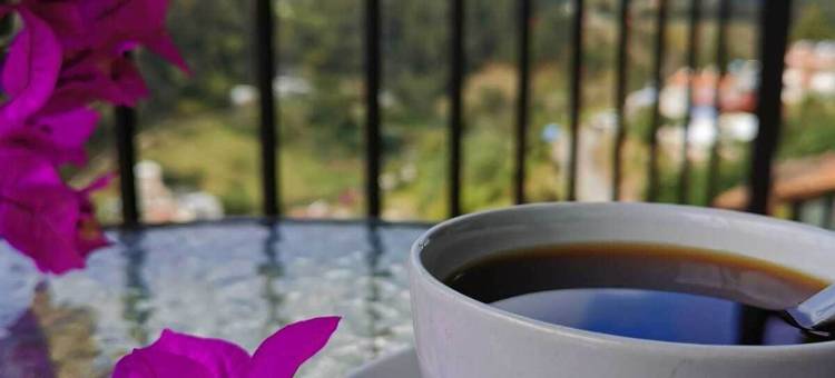 圣豪尔酒店(Hotel San Jorge)图片