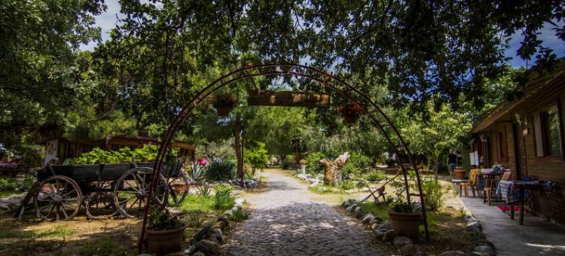 阿戈拉艺术村(Agora Sanat Köyü)图片