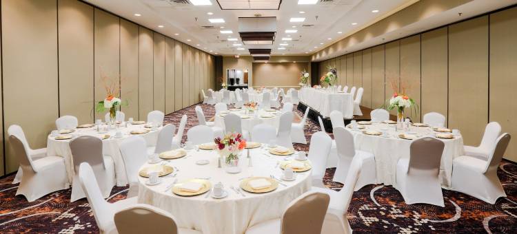 Holiday Inn 奥斯汀城(Holiday Inn Austin Midtown)图片