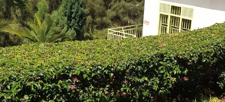 里贝罗基伍度假村(Rebero Kivu Resort)图片