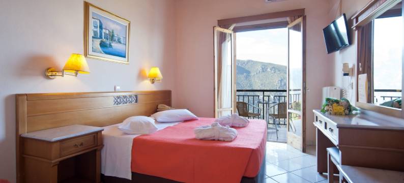 卫城德尔菲酒店(Acropole Delphi City Hotel)图片