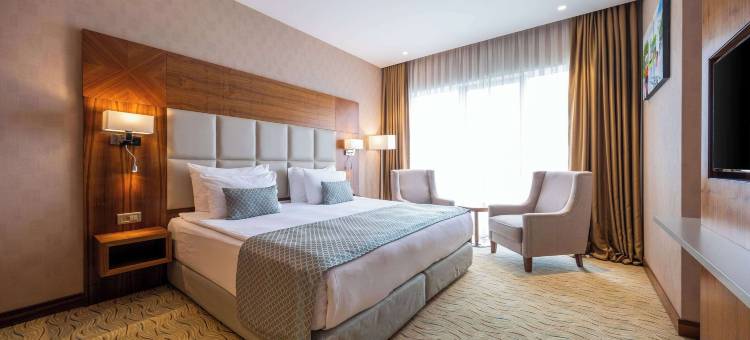 伊斯坦布尔玛姆特贝克拉丽奥酒店(Clarion Hotel Istanbul Mahmutbey)图片