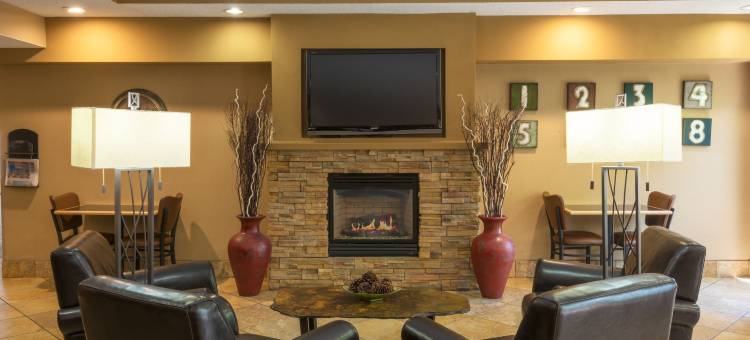 麦迪逊西美吟温德姆酒店(AmericInn by Wyndham Madison West)图片