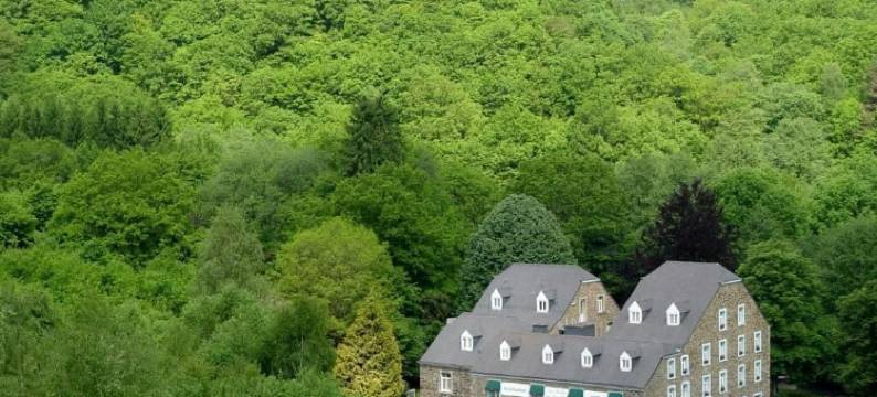 达韦迪斯磨坊原创之家酒店(Moulin de Daverdisse)图片