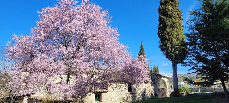 Mas de Reilhanette图片