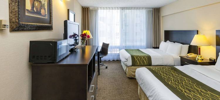 舒适酒店及套房(Comfort Inn & Suites)图片