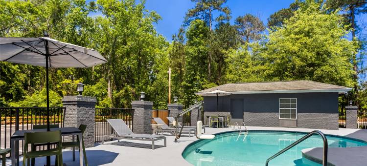 Spark by Hilton 布拉夫顿 希尔顿黑德岛(Spark by Hilton Bluffton Hilton Head Island)图片