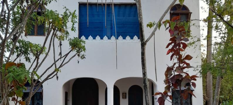 米查姆维海滩的拉古纳宫(Laguna Palace Michamvi Kae)图片