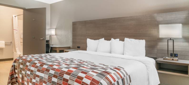 底特律梅特罗机场红顶酒店-泰勒(Red Roof Inn Detroit Metro Airport - Taylor)图片