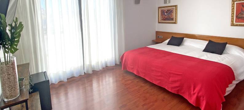 广场旅馆酒店(Hotel Plaza Inn)图片