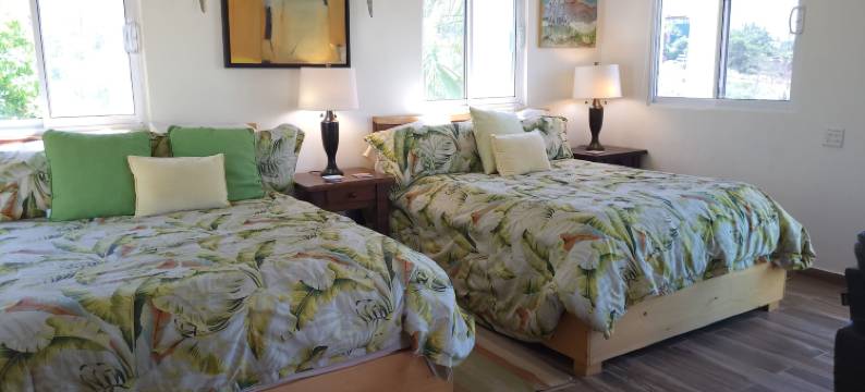 卡萨弗洛雷斯小屋(Casa Flores Casitas)图片