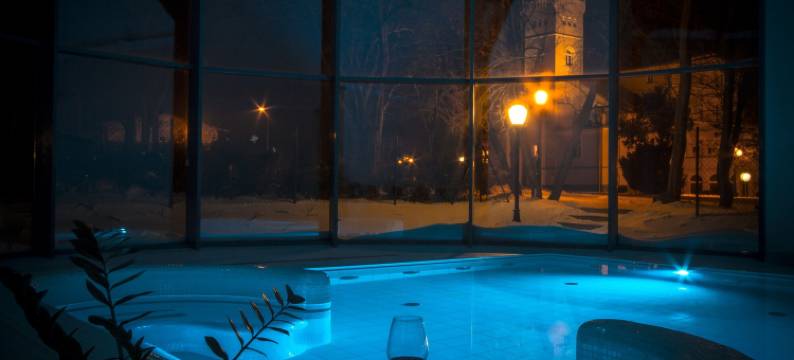 维涅瓦 Spa 及养生酒店(Hotel Spa Wieniawa)图片