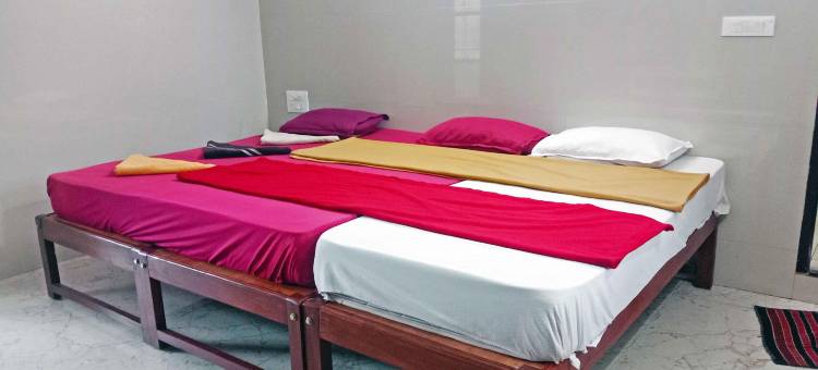 Narayani Guest House图片