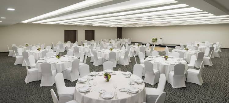 塞拉亚里尔旅馆(Real Inn Celaya)图片