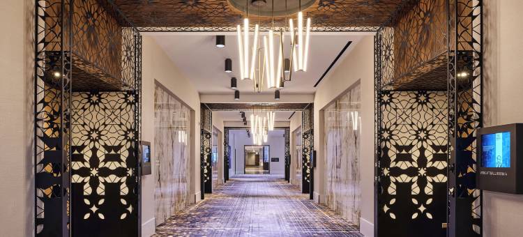 芝加哥洛斯酒店(Loews Chicago Hotel)图片