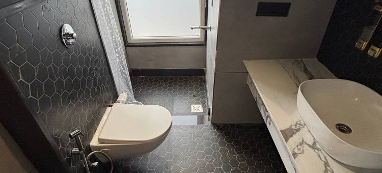 拉温宫殿酒店(Hotel Ravine Palace)图片