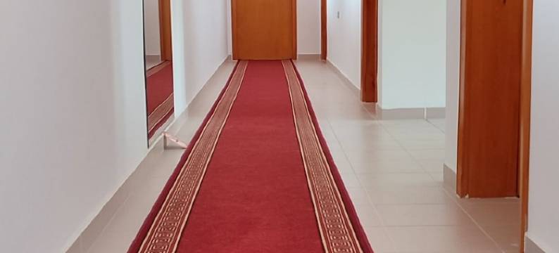 巴伊卡尔酒店(Hotel Baykal)图片