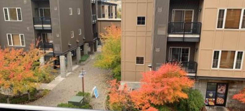 晨星山林小屋 - 由琳达托管(Morning Star Lodge - Hosted by Linda)图片