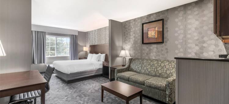 康科德贝斯特韦斯特套房酒店(Best Western Concord Inn  Suites)图片