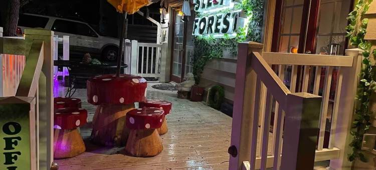 沉睡森林酒店(Sleepy Forest Cottages)图片