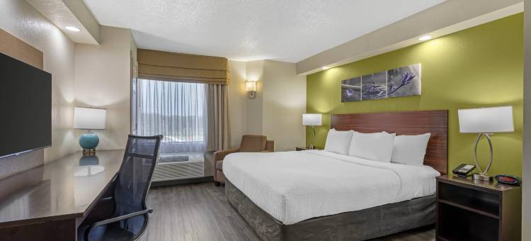 布希花园附近舒眠酒店-USF(Sleep Inn Near Busch Gardens - USF)图片