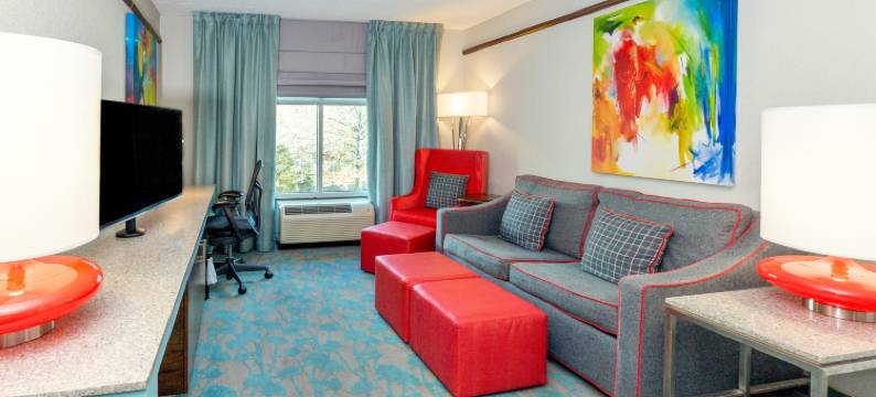 阿什维尔市区希尔顿花园酒店(Hilton Garden Inn Asheville Downtown)图片