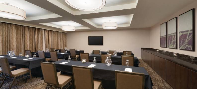 芝加哥-绍姆堡假日酒店(Holiday Inn CHICAGO - SCHAUMBURG by IHG)图片