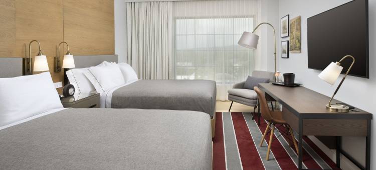 伊萨卡市中心希尔顿嘉悦里酒店(Canopy by Hilton Ithaca Downtown)图片