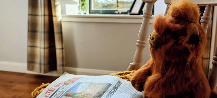 本克鲁亚川旅馆(Ben Cruachan Inn - Restaurant, Pub with Rooms)图片