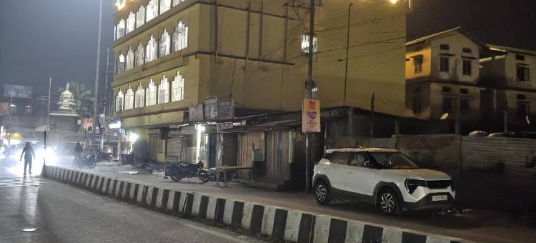 伽亚特里酒店(Hotel gayatri)图片