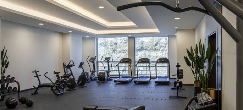 麦加 Thakher 市诺富特酒店(Novotel Makkah Thakher City)图片