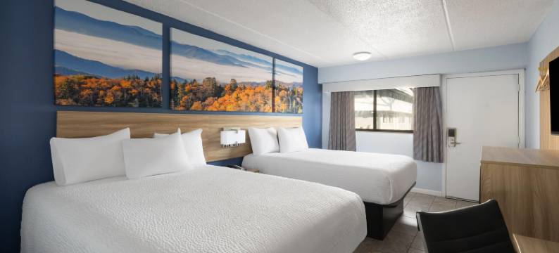 温德姆戴斯酒店夏洛特大学(Days Inn by Wyndham Charlotte University)图片