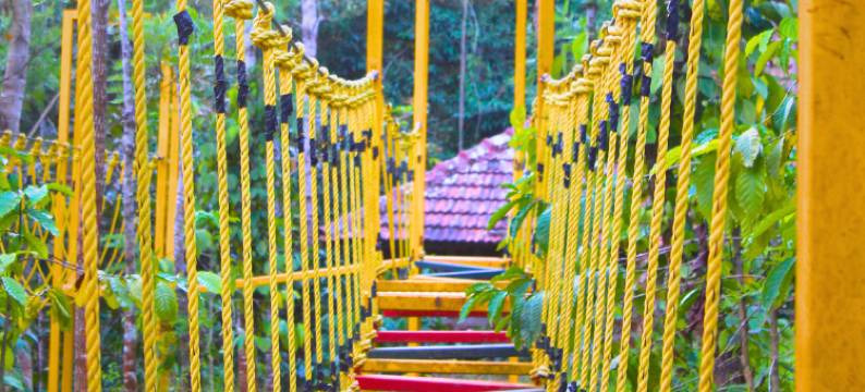 森林边缘度假村(Forest Edge Resort)图片