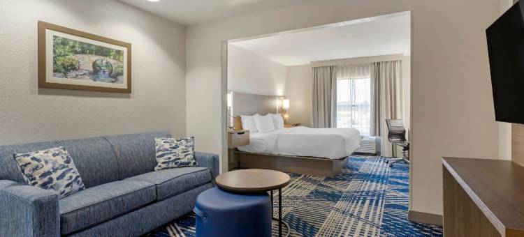 温泉城中城舒适套房酒店(Comfort Inn & Suites Hot Springs Midtown)图片