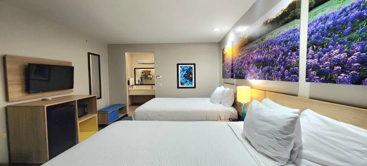 卡蒂温德姆戴斯套房酒店(Days Inn & Suites by Wyndham Katy)图片