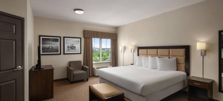 温德姆埃斯特万Travelodge套房(Travelodge Suites by Wyndham Estevan)图片