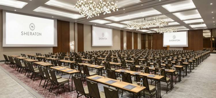 喜来登乌沙克酒店及温泉(Sheraton Uşak Hotel & Thermal Spa)图片