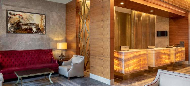 瑞享温泉水疗酒店(Mövenpick Bursa Hotel and Thermal Spa)图片