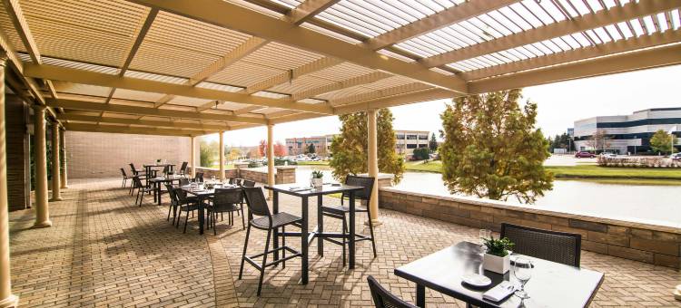 芝加哥西南布尔里奇万豪酒店(Chicago Marriott Southwest at Burr Ridge)图片