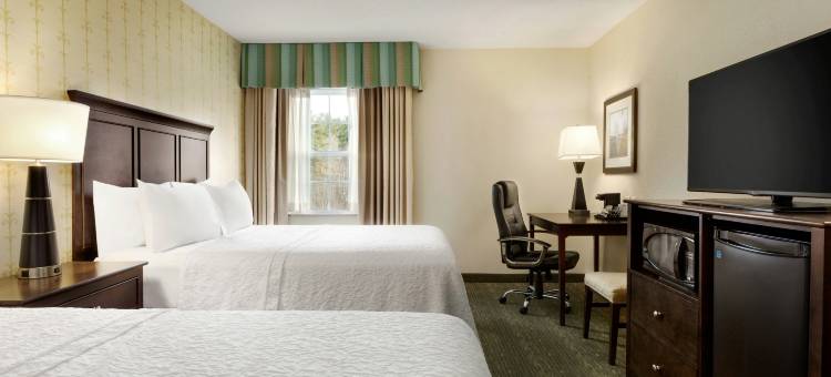 多弗尔欢朋酒店(Hampton Inn Dover)图片