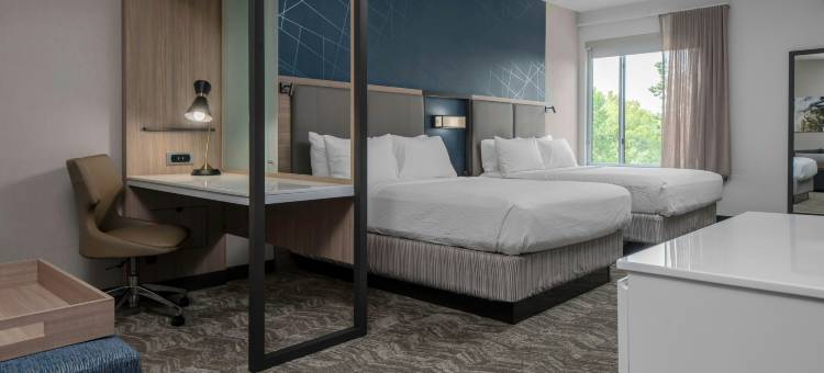 夏洛特亨特斯维尔SpringHill Suites酒店(SpringHill Suites Charlotte Huntersville)图片
