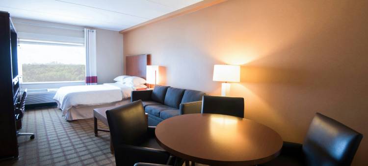 温尼伯南部福朋喜来登酒店(Four Points by Sheraton Winnipeg South)图片