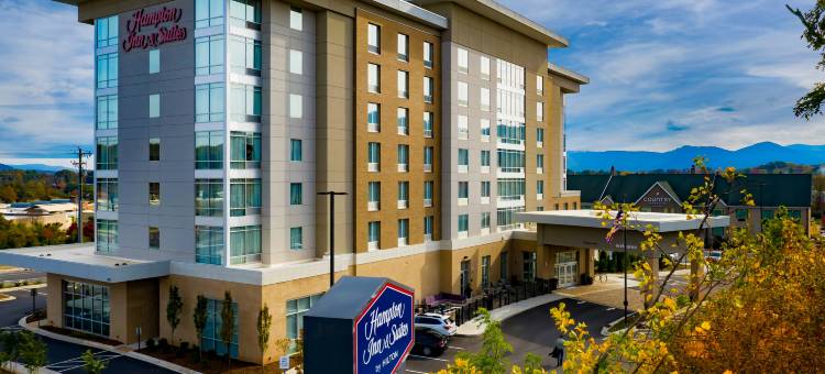 阿什维尔比特摩尔区希尔顿欢朋套房酒店(Hampton Inn & Suites Asheville Biltmore Area)图片