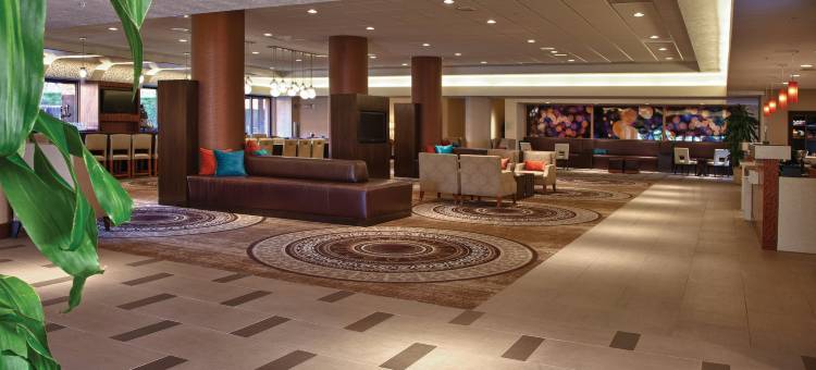 希尔顿康科德酒店(Hilton Concord)图片