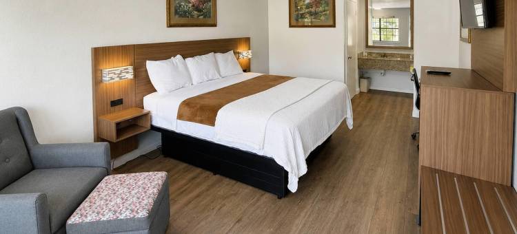 贾斯珀经济旅馆(Budget Inn of Jasper)图片