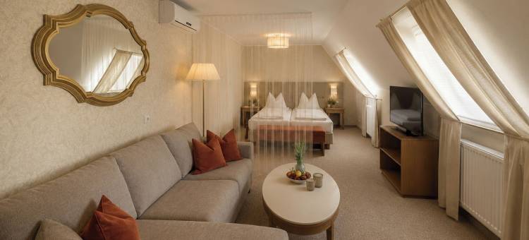 施泰尔多梅洛酒店(DORMERO Hotel Steyr)图片