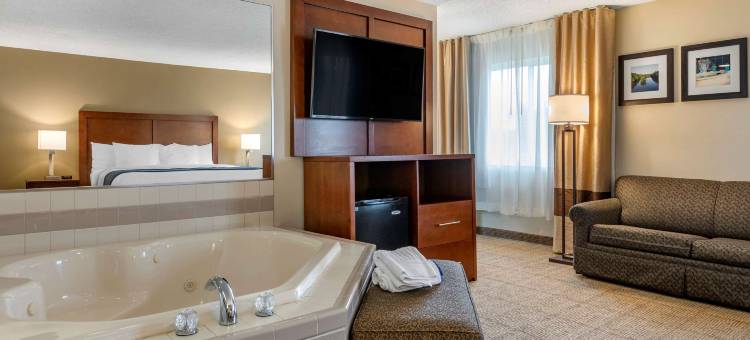 迪蒙代尔舒适套房酒店(Comfort Inn & Suites Dimondale - Lansing)图片