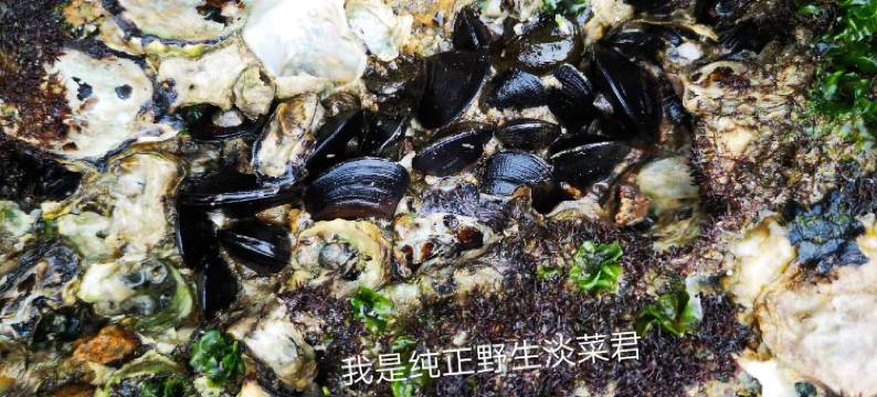 平潭渔港民宿中心图片