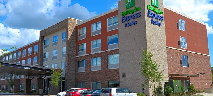 古德利茨维尔北-纳什维尔智选假日套房酒店(Holiday Inn Express & Suites Goodlettsville N - Nashville)图片